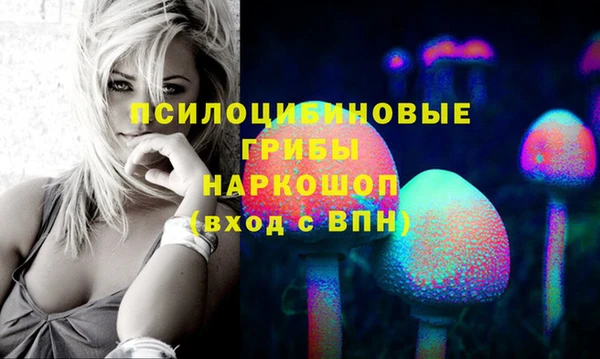 дмт Балахна