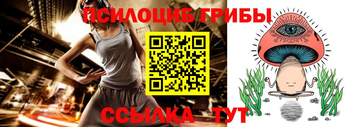 Галлюциногенные грибы Psilocybine cubensis  Вход с VPN  Долгопрудный 