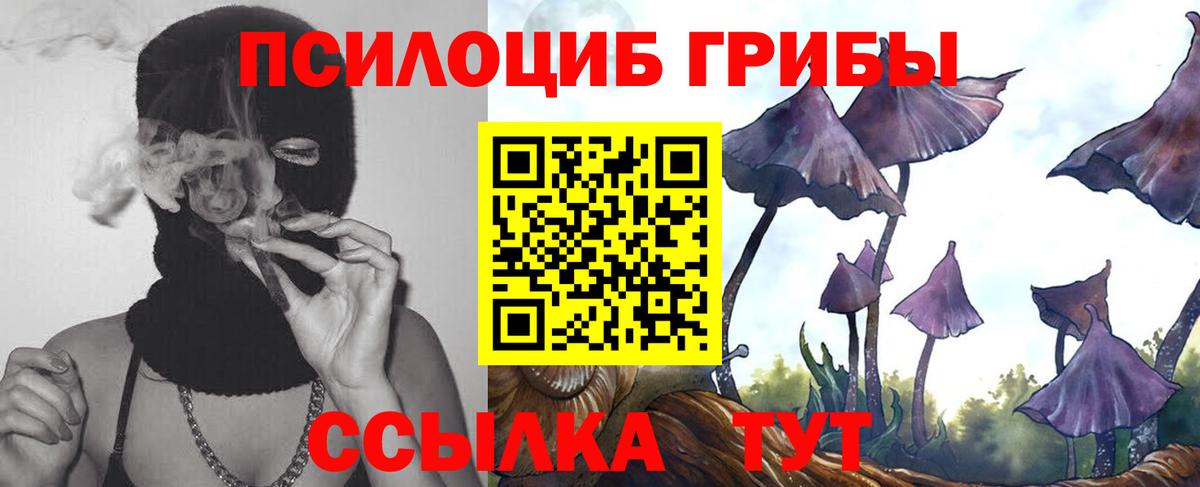 Галлюциногенные грибы Magic Shrooms Долгопрудный